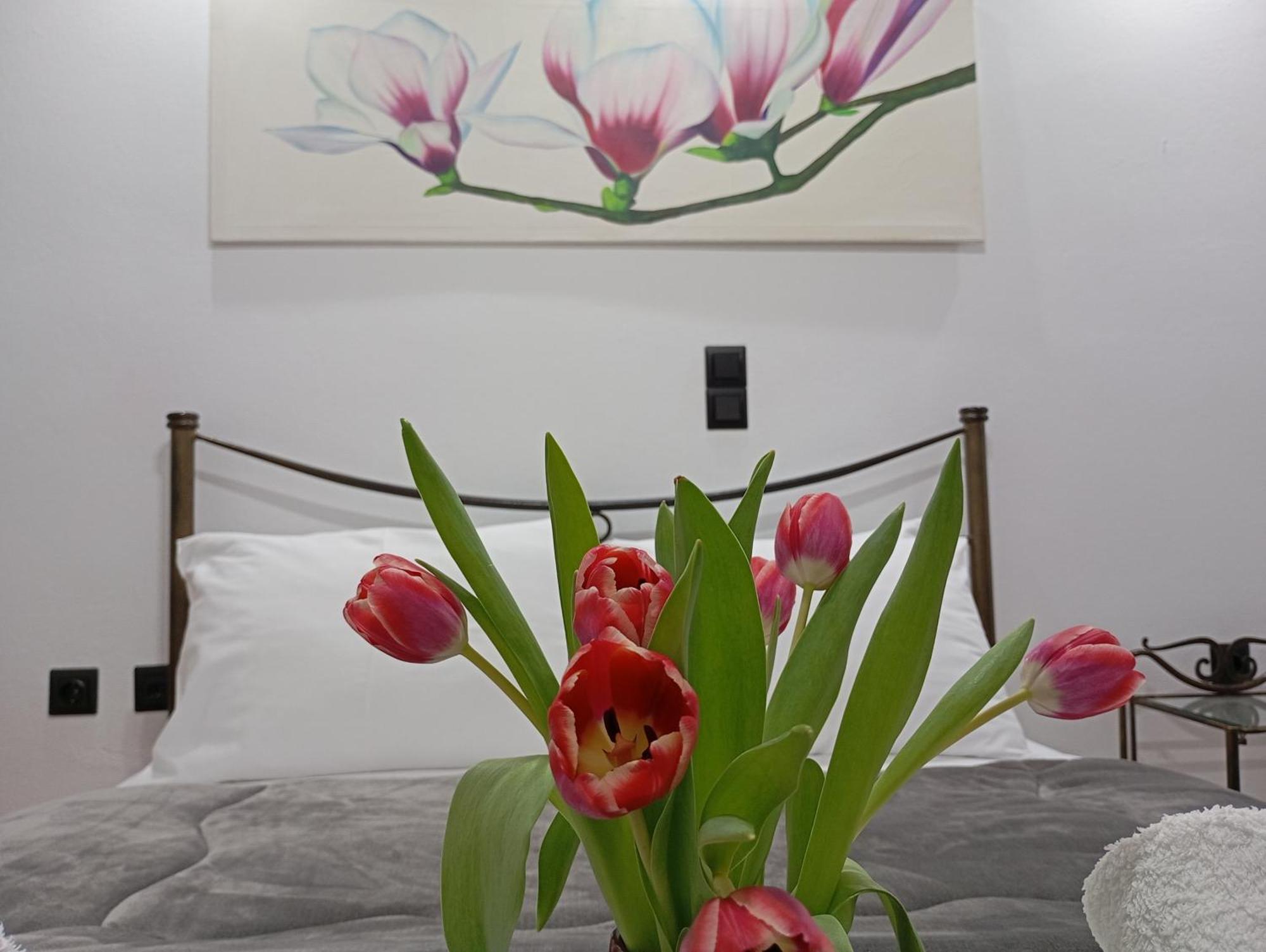 Vaso'S Appartments A Missolonghi Luaran gambar